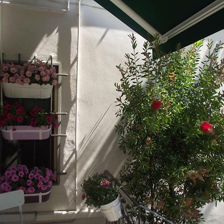 Appartamento La Casina Πιστόια Εξωτερικό φωτογραφία